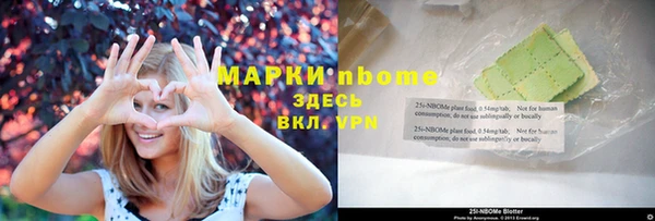 индика Алексин