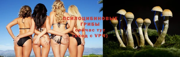 героин Алексеевка