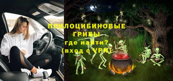 мдпв Абаза