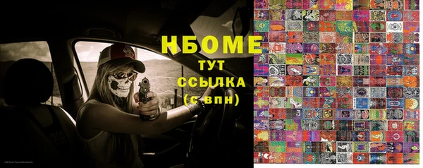 сатива Абинск