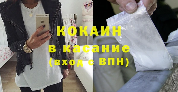 индика Алексин