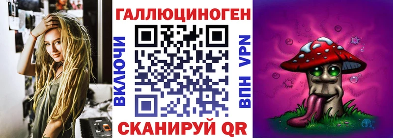 как найти закладки  Уварово  Псилоцибиновые грибы Cubensis 